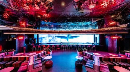 Incheon Chroma Bootleg Show Ticket at Paradise City Hotel (From Seoul, Add on Shuttle Service & Club Chroma Indoor Pool Lounge Admission Ticket) Day Tours