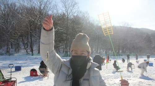 Incheon Gyeonggi Winter Fun Limited Day Tour A: Winter Fishing, Strawberry Picking, Luge, and More Day Tours
