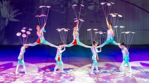 Jeju Circus World