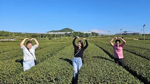 Jeju Customize Private VAN Tour of East or West or South (~8pax) Day Tours
