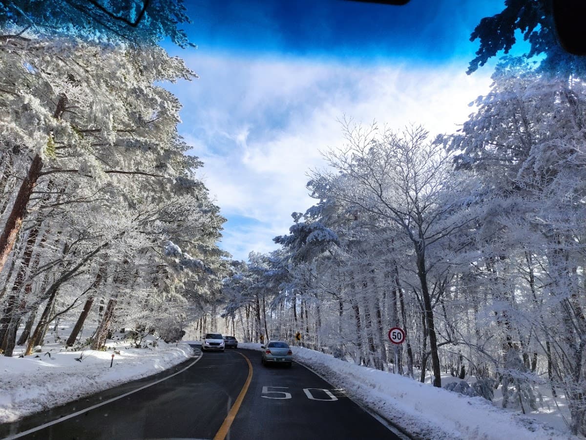 Jeju Eastern UNESCO Day Tour