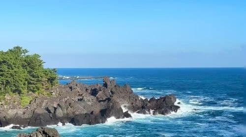 Jeju International Airport pick-up/drop-off/private charter/customized tour guide services Day Tours