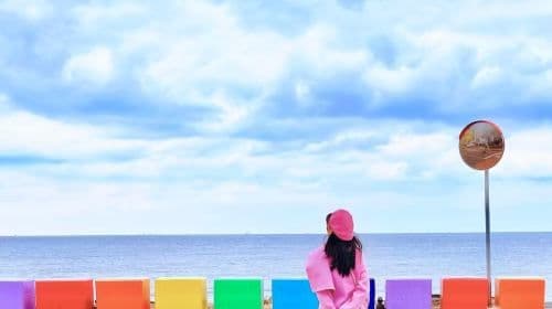 Jeju Island + Rainbow Road + Teddy Bear Safari + Daepo Jusangjeolli Cliff + Camellia Hill Botanical Garden Day Tours