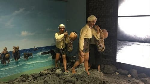 Jeju island Eastern UNESCO site Full Day Guided Tour Day Tours