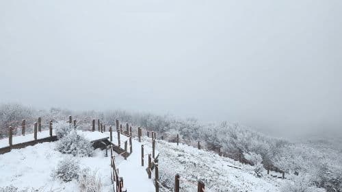 Excursão de um dia pelo sul da Ilha de Jeju (UNESCO) com Hallasan MT Day Tours