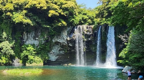 Excursão de um dia pelo sul da Ilha de Jeju (UNESCO) com Hallasan MT Day Tours
