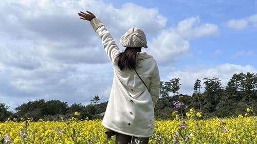 Jeju island Southern Unesco Mt.halla ONE day Bus Tour Day Tours