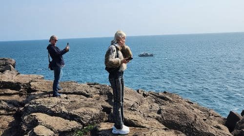 Jeju island Southern Unesco Mt.halla ONE day Bus Tour Day Tours