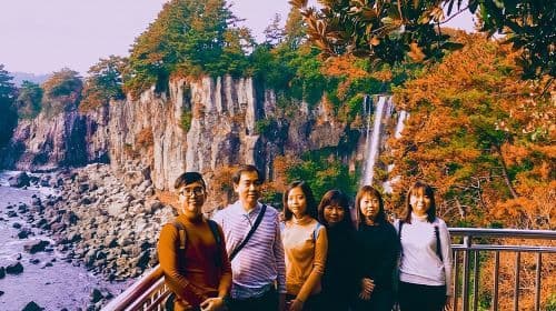 Jeju Island Taxi Tour : South Day Tour Day Tours