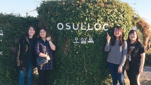 Jeju Island Taxi Tour : South Day Tour Day Tours