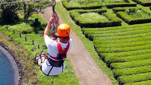 Jeju LAF (Jeju Light Art Festa)