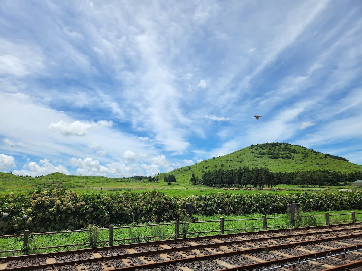 Jeju Rail Bike Pass | South Korea