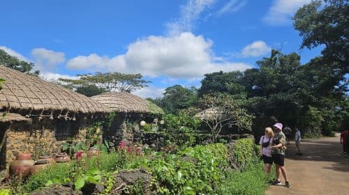 Jeju UNESCO Original Day Tour - East Course Day Tours