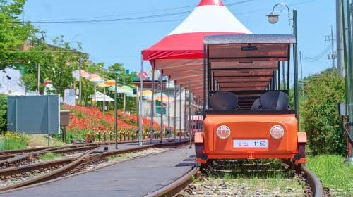 Tour di un giorno a Legoland Korea + Gangchon Railbike (da Seoul, biglietti d'ingresso e trasporto inclusi) Tour giornalieri