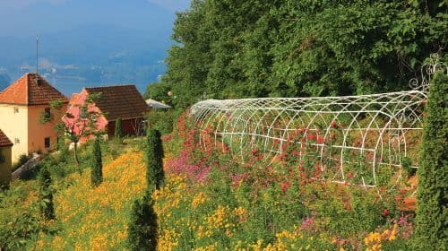 Excursión de un día a Nami Island + Petite France y Italian Village (desde Seúl, guía en inglés) Tours de un día
