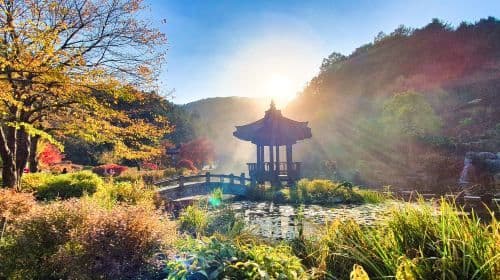Nami Island + Petite France or Italian Village + Gapyeong Rail Bike + Garden of Morning Calm 1-day tour Day Tours