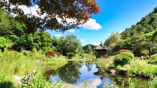 Nami Island + Petite France of Italian Village + Morning Tranquility Garden dagtour Dagtochten
