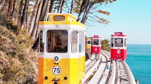 Max Out Busan: 9 Highlight Top Attractions One Day Tour (with Blueline Park Sky Capsule and Yatch Tour)