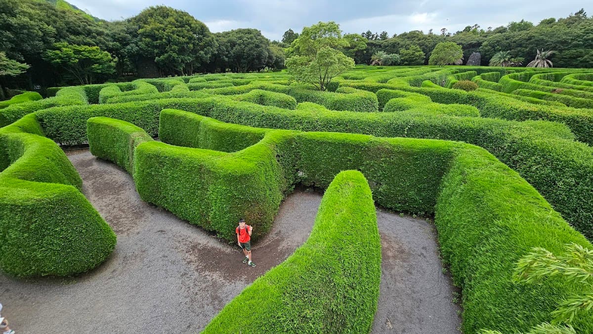 Maze Land
