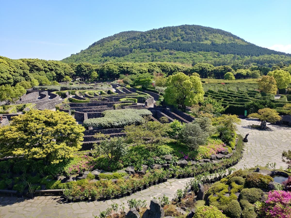 Maze Land