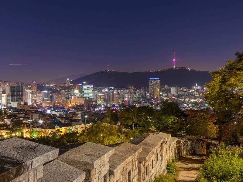 Moonlight Seoul Night Tour|Gwangjang Market, Royal Palace, Cheonggyecheon Stream and Naksan Park
