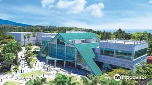 Museum of Sex and Health