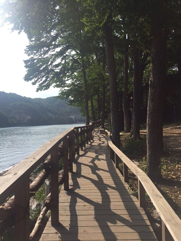 Nami Island Round trip bus