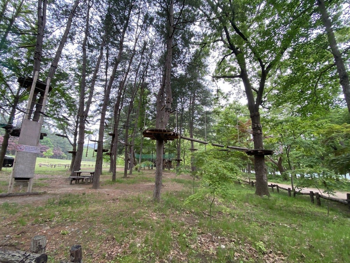 Nami Island Round trip bus