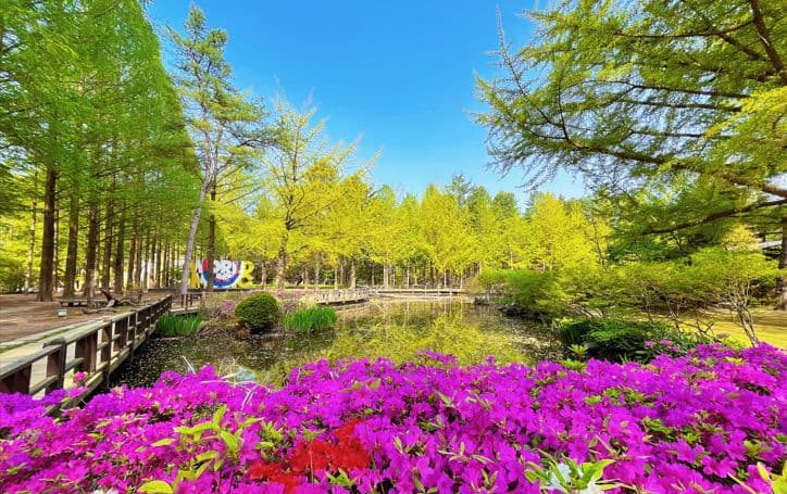 Nami Island Round trip bus