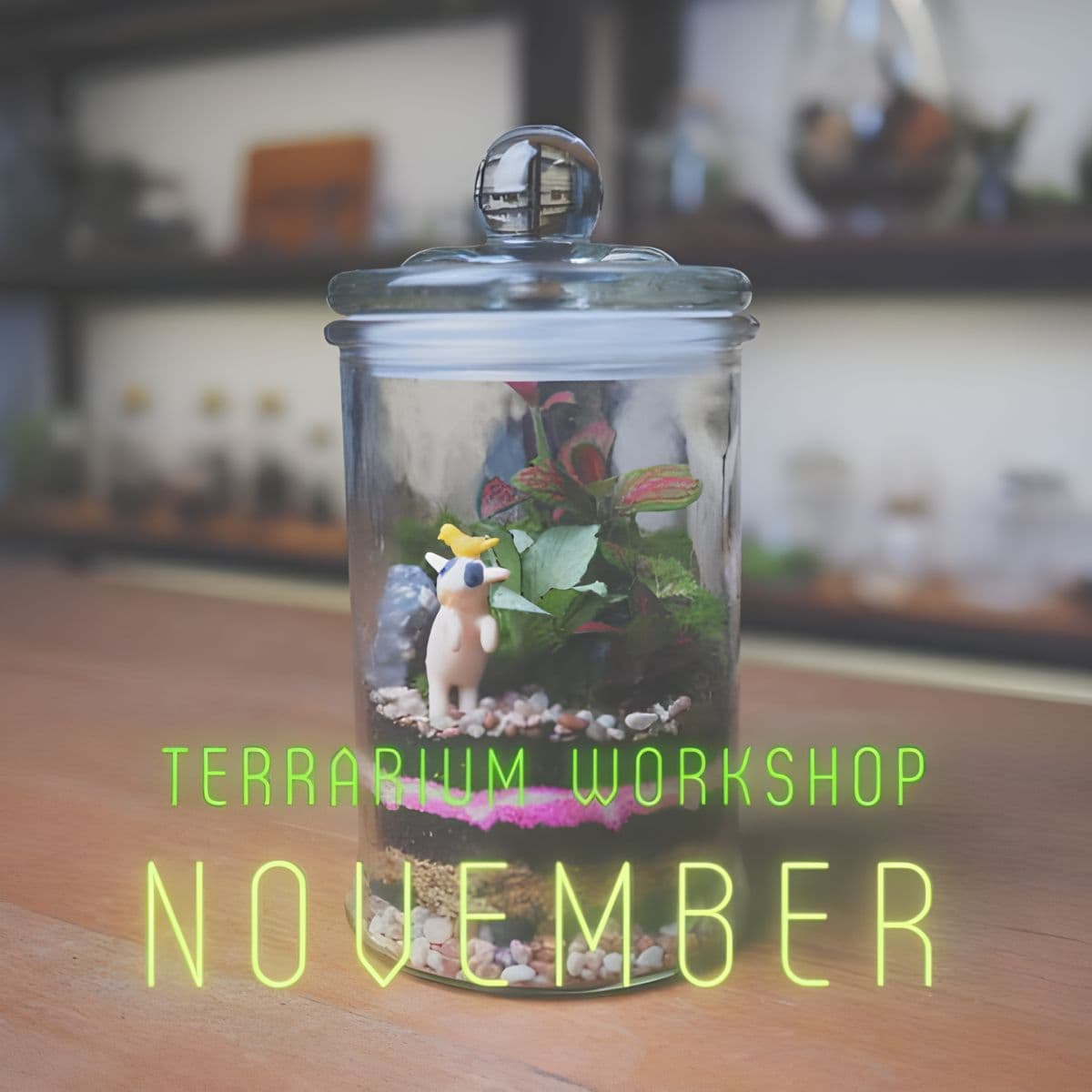 Terrarium Workshop