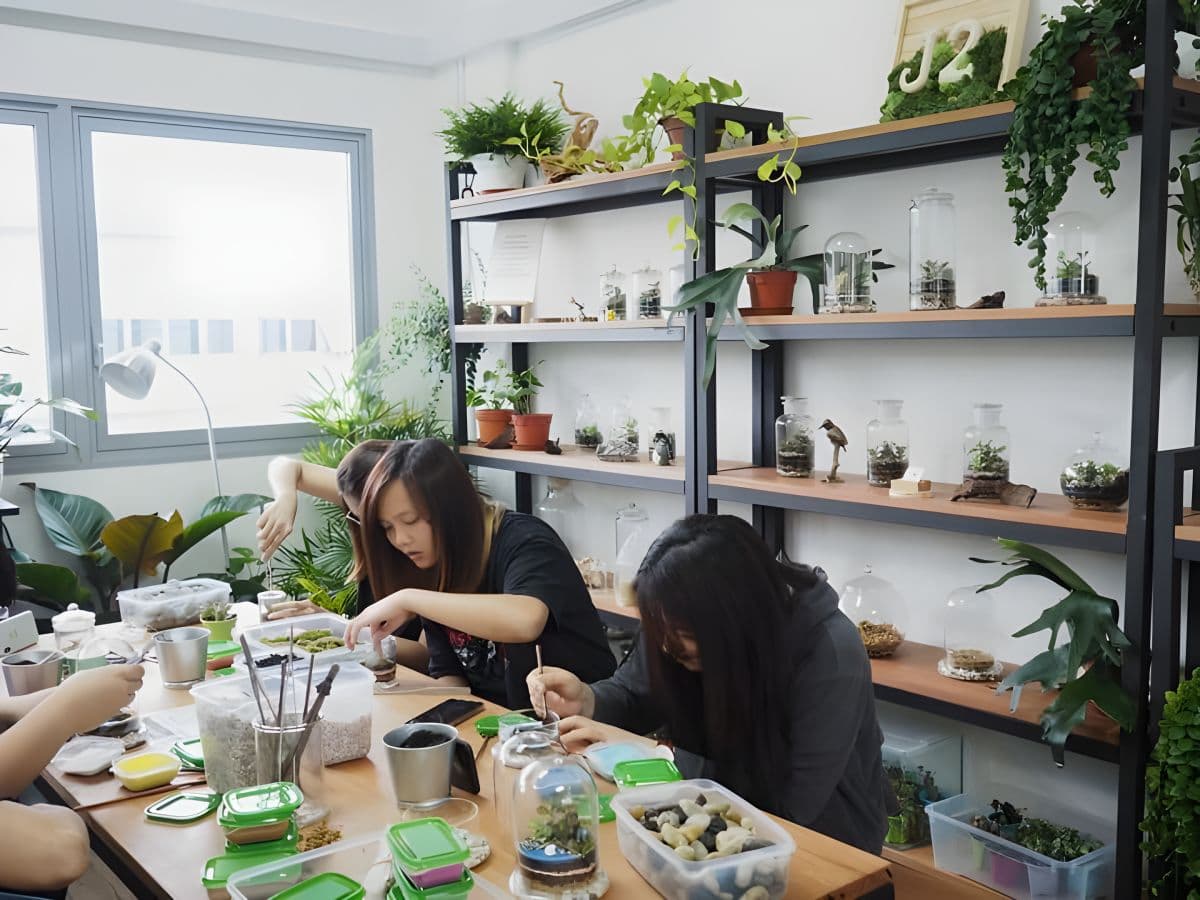 Terrarium Workshop