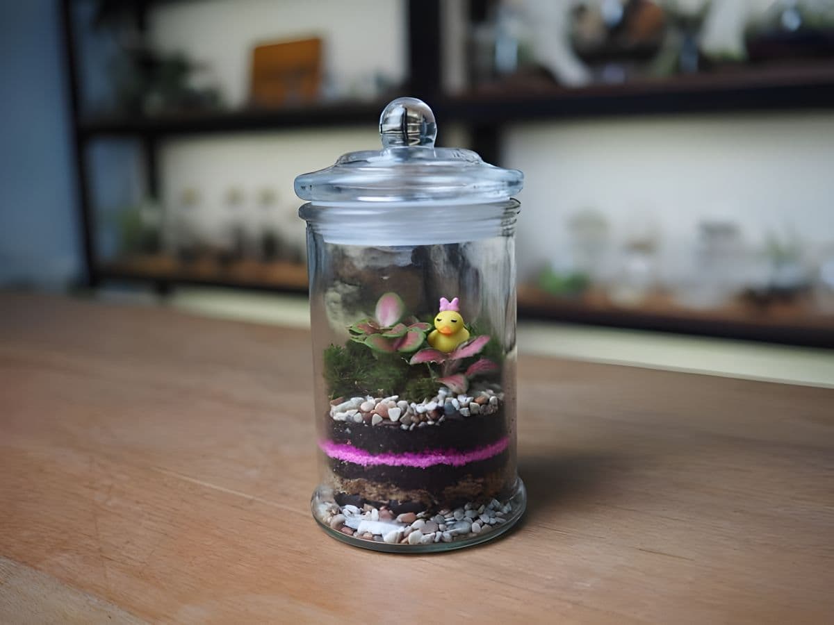 Terrarium Workshop