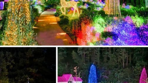 Excursiones de un día a Nami Island, Rail Bike, Gapyeong Sheep and Alpaca Farm y el Starlight Festival