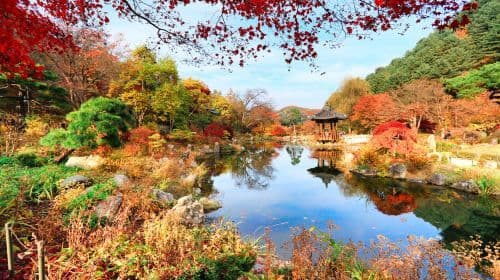 Pocheon Art Valley + The Garden of Morning Calm + Apple / Strawberry Farm Experience One Day Tour (From Seoul)