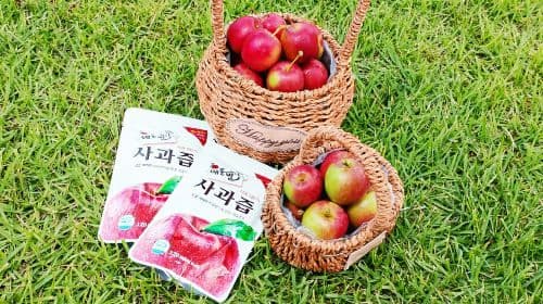 Pocheon Art Valley + The Garden of Morning Calm + Experiencia en granja de manzanas / fresas: Tour de un día (desde Seúl)