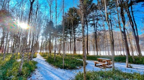 Seoraksan+Nami Island+Garden of Morning Calm one-day tour Day Tours