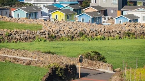 Prywatna jednodniowa wycieczka czarterowa po wyspie Jeju w Korei Południowej: Udo, Seongsan, mitologia, Seogwipo, Aewol, odbiór przez przewodnika