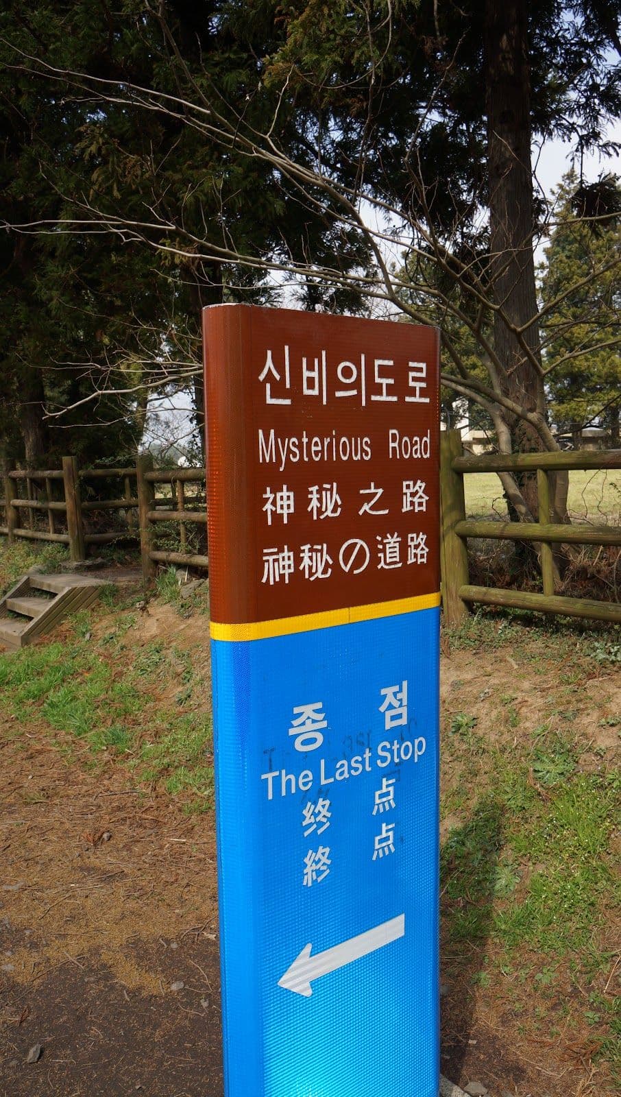 Southern Jeju One-Day Bus Tour: Mysterious Road, Hallasan & Jusangjeollidae (Lunch included) | Korea