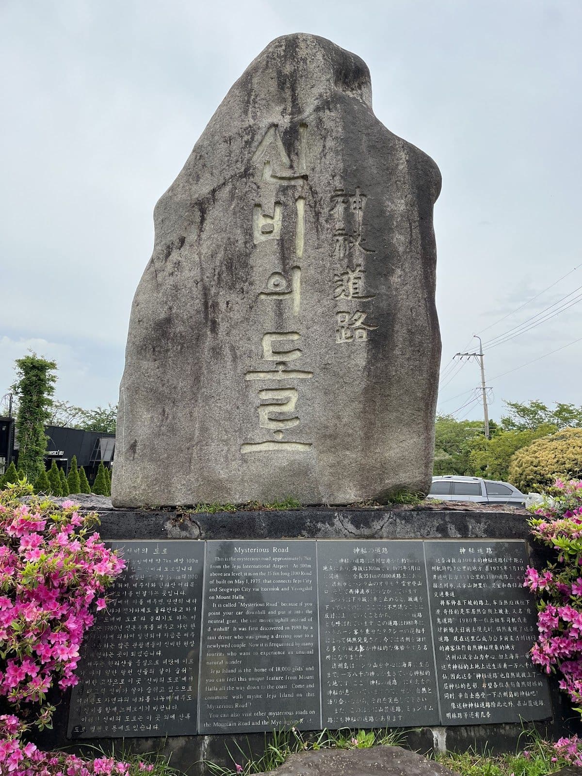 Southern Jeju One-Day Bus Tour: Mysterious Road, Hallasan & Jusangjeollidae (Lunch included) | Korea