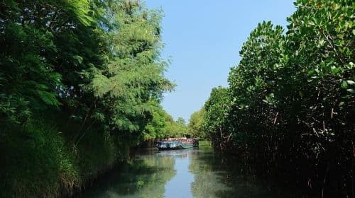 Tainan: Sicao Green Tunnel Scenic Boat Ride Day Tours