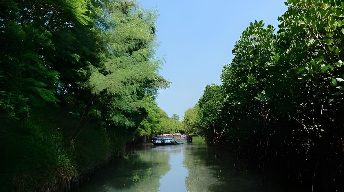 Tainan: Sicao Green Tunnel Scenic Boat Ride Day Tours