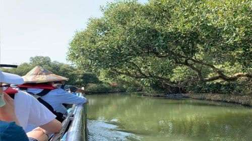 Tainan: Sicao Green Tunnel Scenic Boat Ride Day Tours