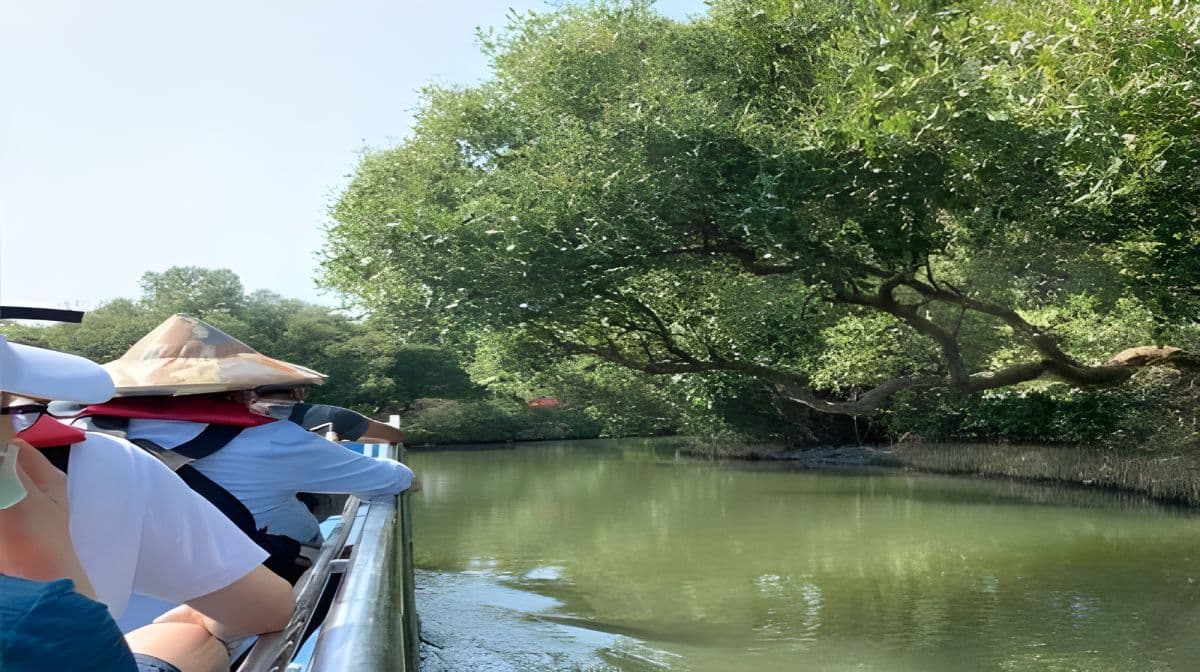 Tainan: Sicao Green Tunnel Scenic Boat Ride Day Tours