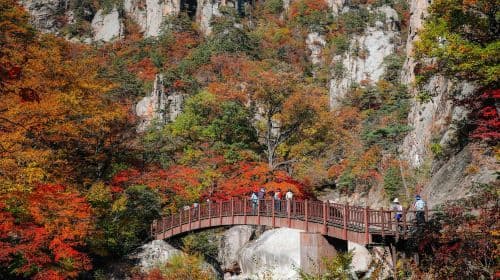 Summer and fall limited edition | From Seoul: Seoraksan + Nami Island 1-day tour Day Tours