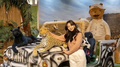 Teddy Bear Safari (Teseum)