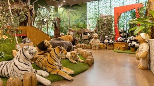 Teddy Bear Safari (Teseum)