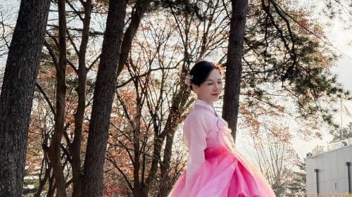 Reisfotografie in Seoul, Zuid-Korea [Privé-charterervaring van een halve dag voor een Hanbok-fotoshoot in het centrum van Seoul (voor 2 personen)]