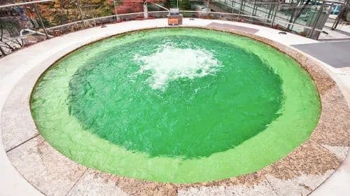 Vivaldi Park Ocean World Water park + hot spring