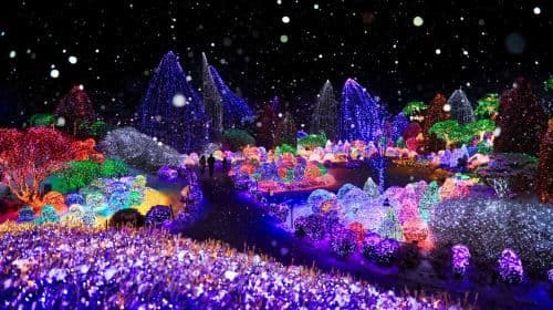 Winter exclusive|Eobi Valley Glacier X Nami Island X Morning Calm Arboretum Night Light Festival Day Tours