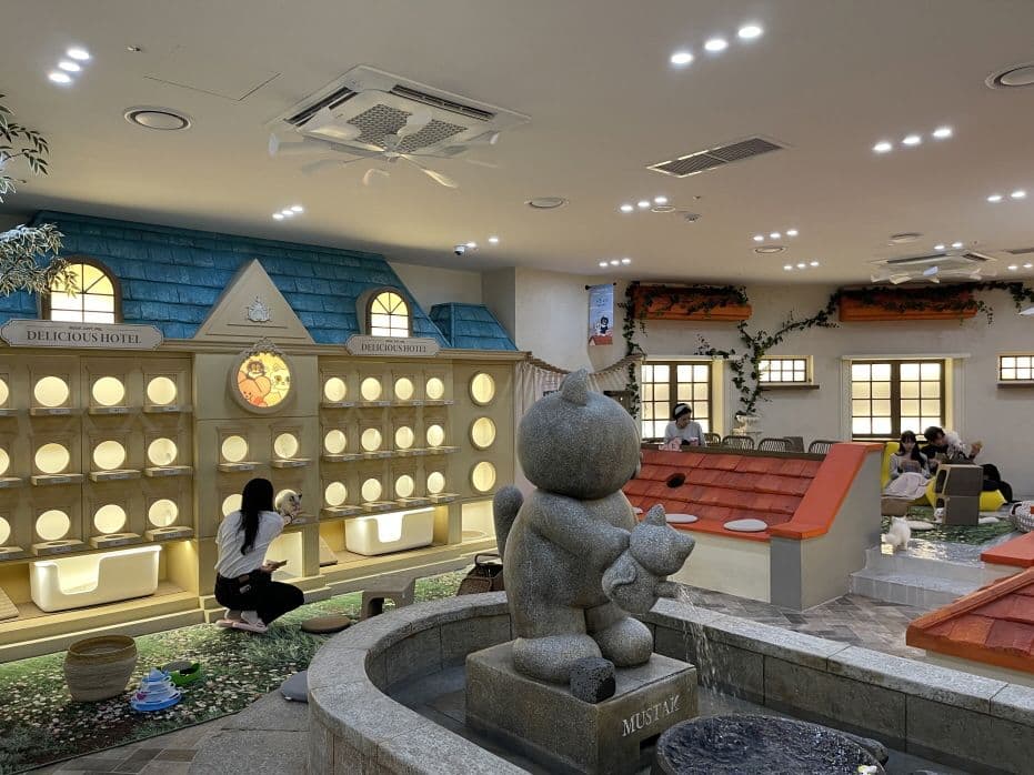 [Hongdae] Roofcatme Cat Café Weekday Discount Admission